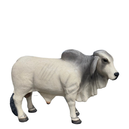 Gray Young Brahman Bull Statue A0884G-160001-H
