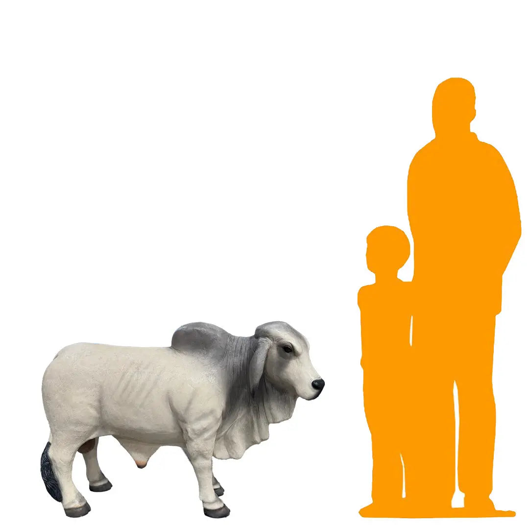 Gray Young Brahman Bull Statue A0884G-160001-H