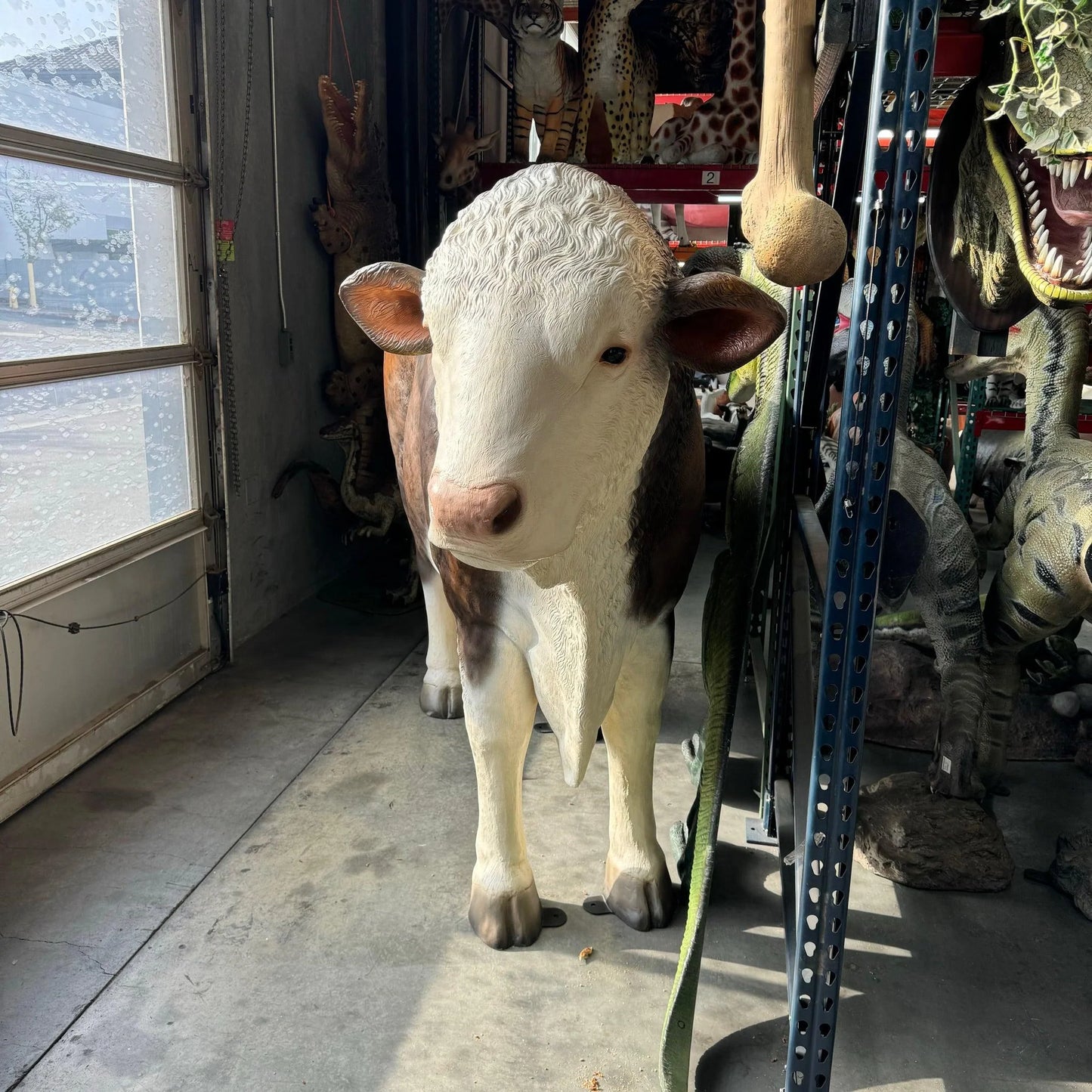 Hereford Bull Life Size Statue