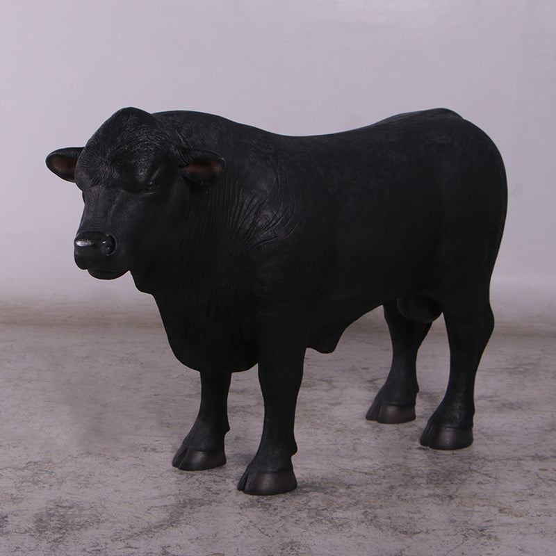 Black Young Angus Bull Looking Left Statue
