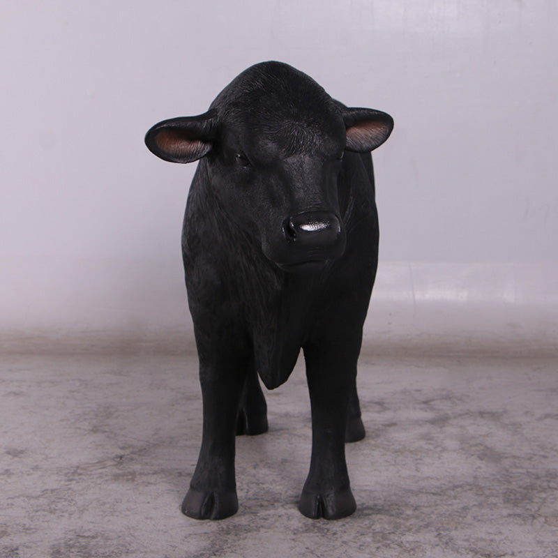 Black Young Angus Bull Looking Left Statue