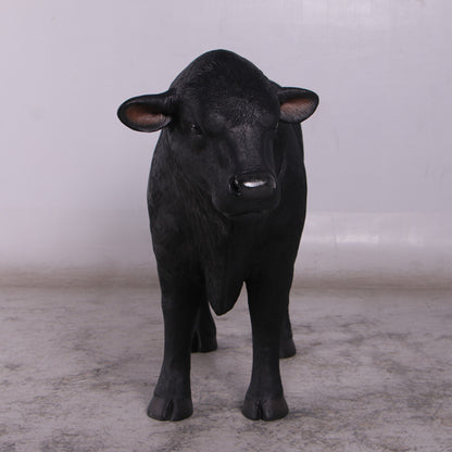 Black Young Angus Bull Looking Left Statue