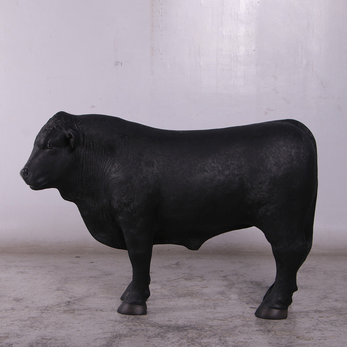 Black Young Angus Bull Looking Left Statue