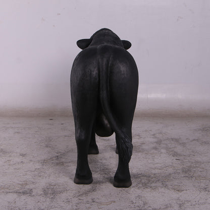 Black Young Angus Bull Looking Left Statue