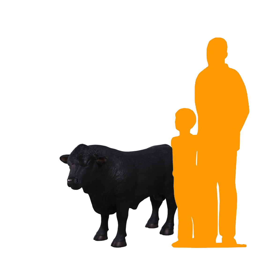 Black Young Angus Bull Looking Left Statue
