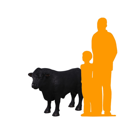 Black Young Angus Bull Looking Left Statue