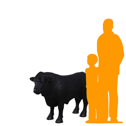 Black Young Angus Bull Looking Left Statue