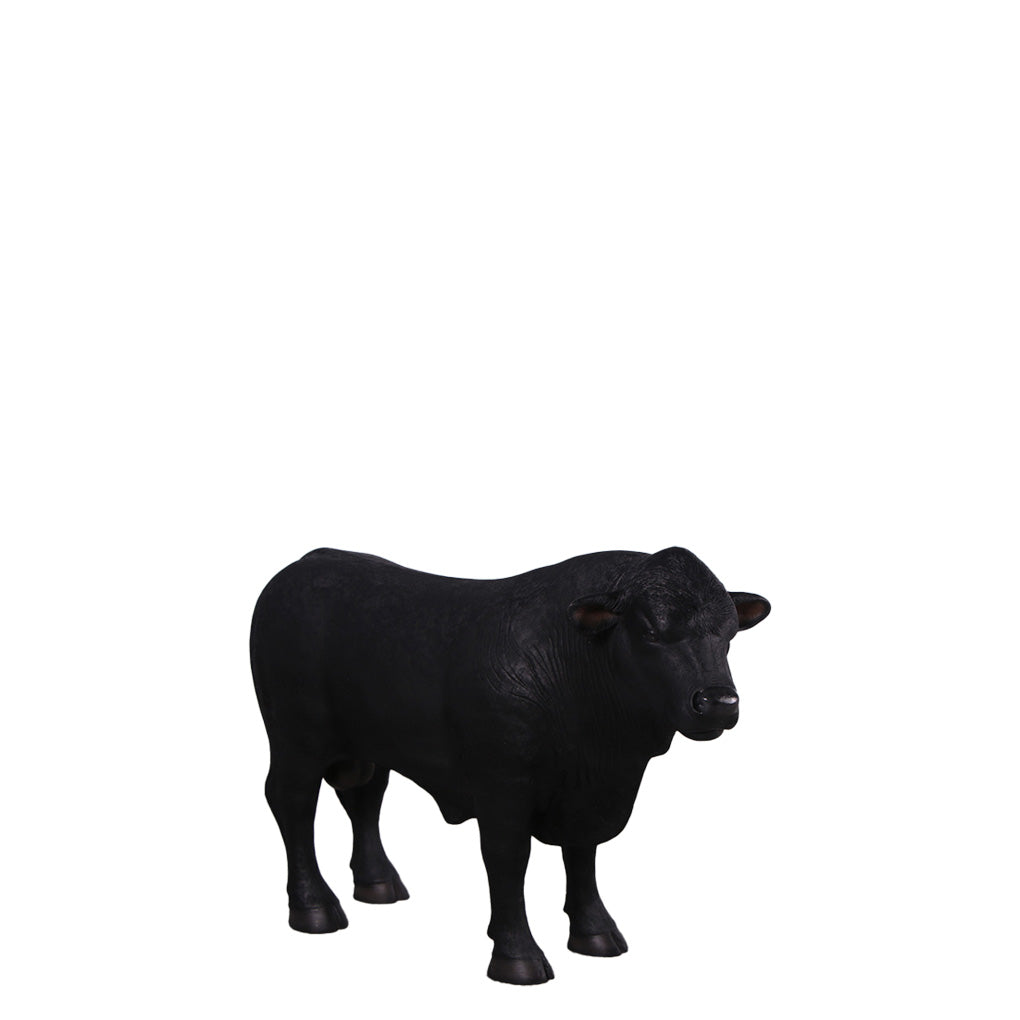 Black Young Angus Bull Looking Right Statue