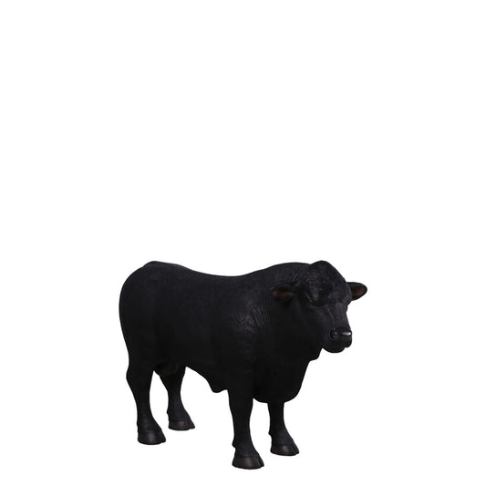 Black Young Angus Bull Looking Right Statue