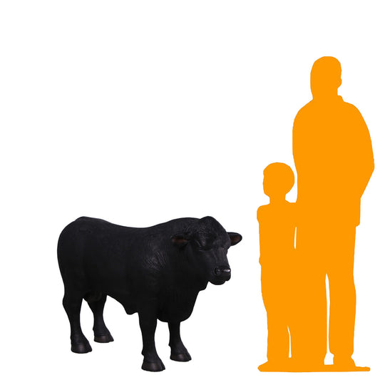 Black Young Angus Bull Looking Right Statue