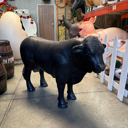 Black Young Angus Bull Looking Right Statue