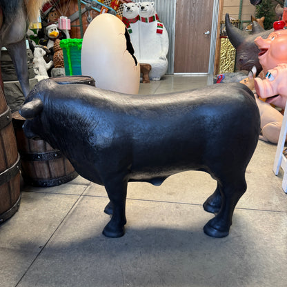 Black Young Angus Bull Looking Right Statue