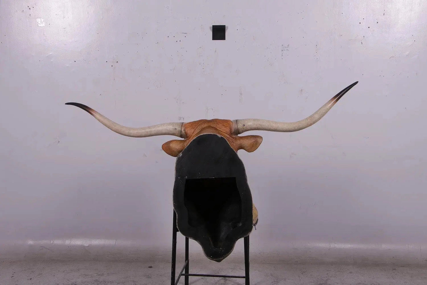 Texas Long Horn Head Life Size Statue A0542-160122-H