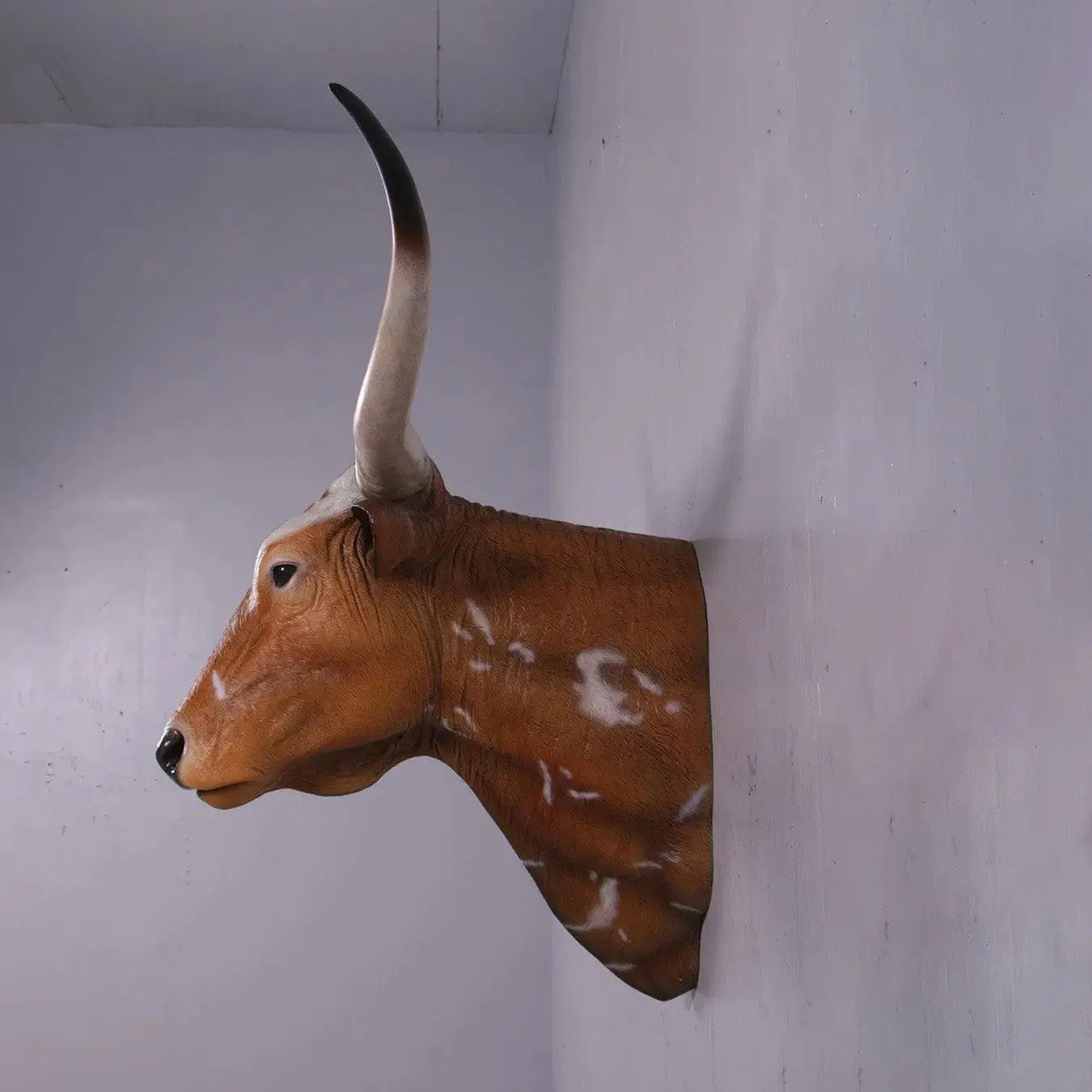 Texas Long Horn Head Life Size Statue A0542-160122-H