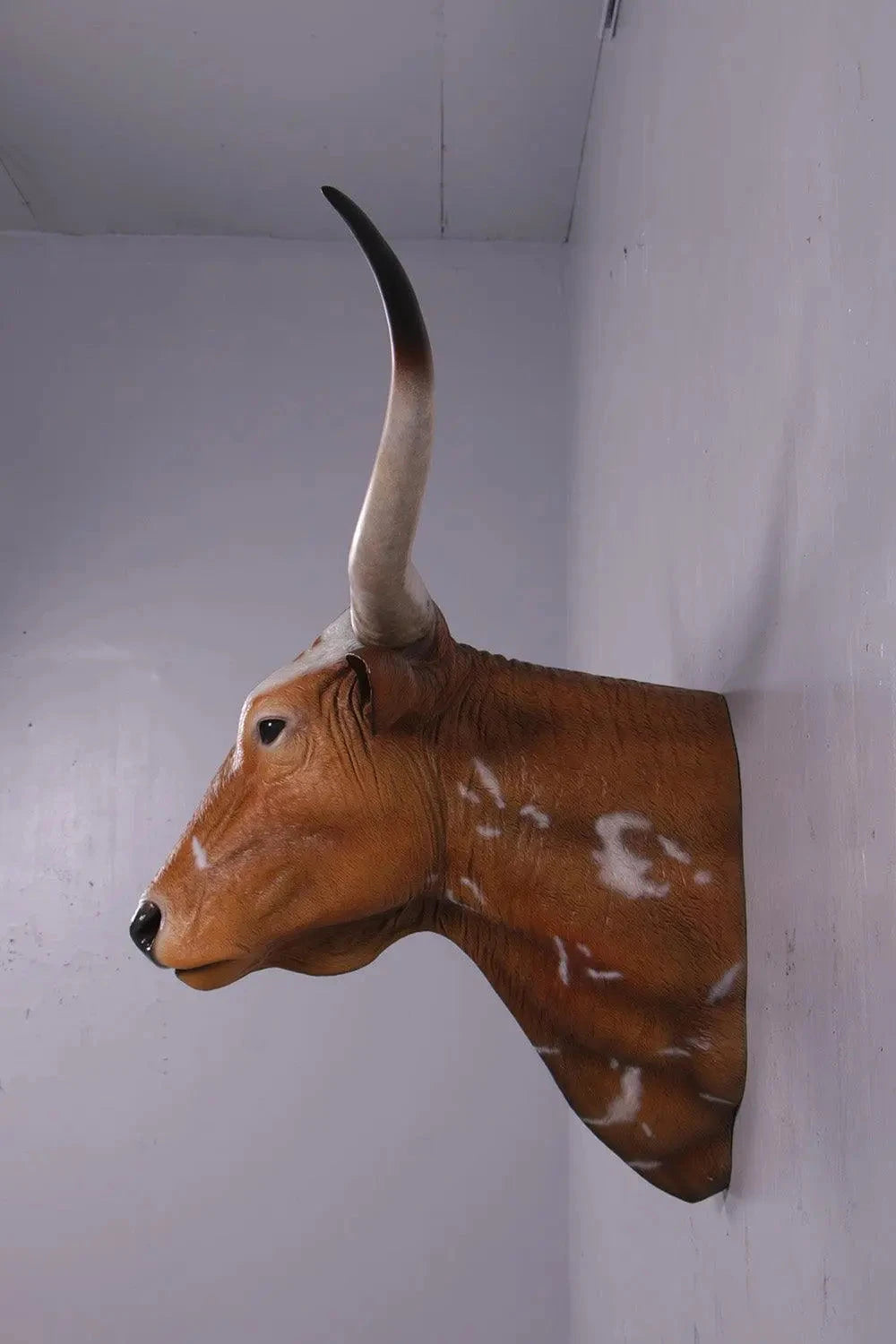Texas Long Horn Head Life Size Statue A0542-160122-H