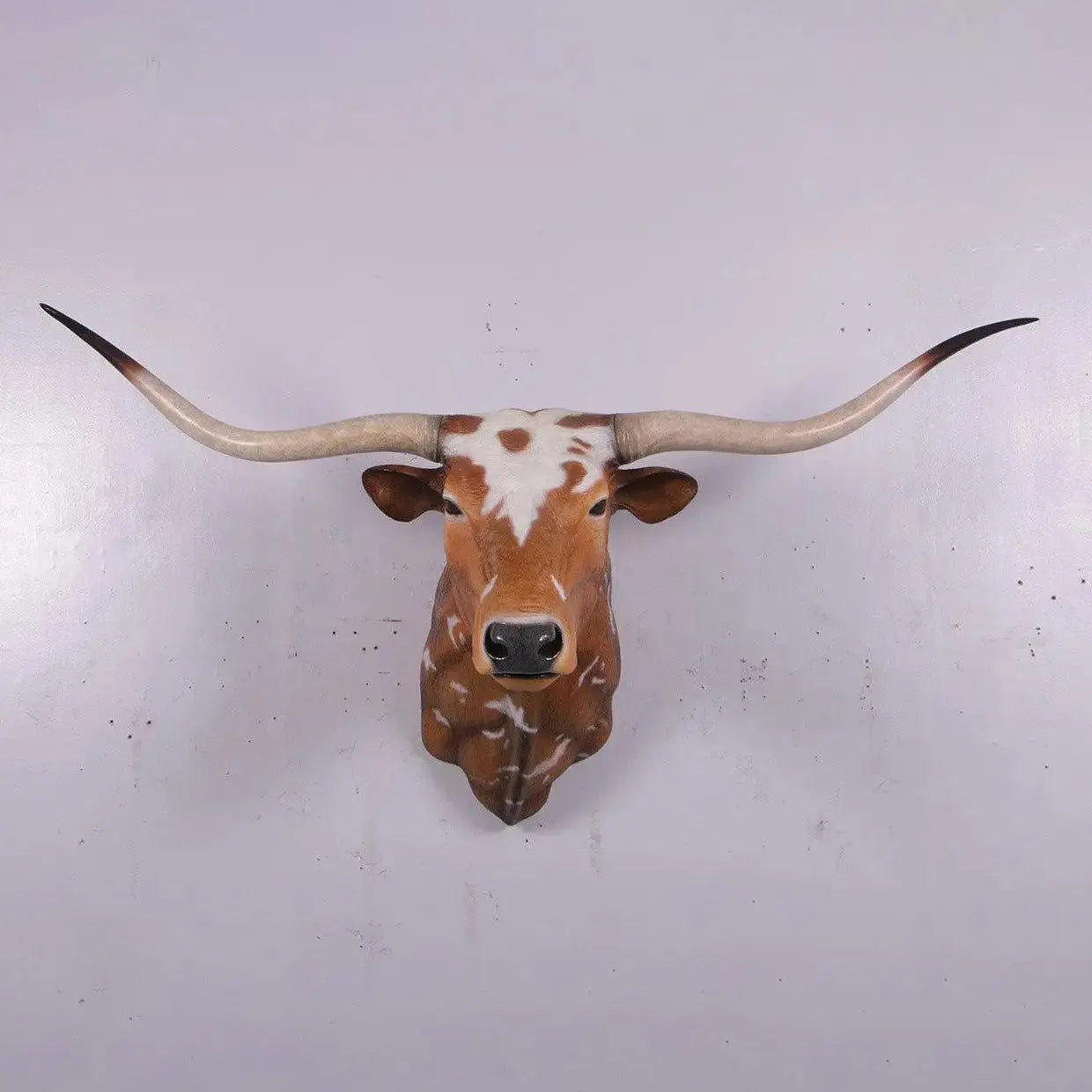 Texas Long Horn Head Life Size Statue A0542-160122-H