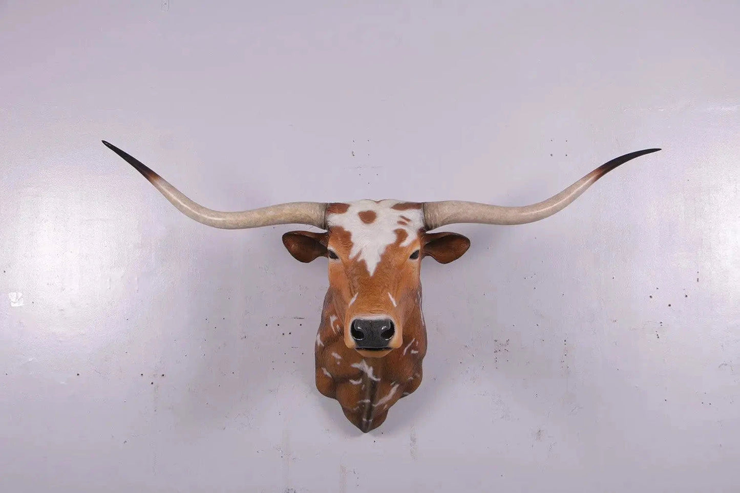 Texas Long Horn Head Life Size Statue A0542-160122-H