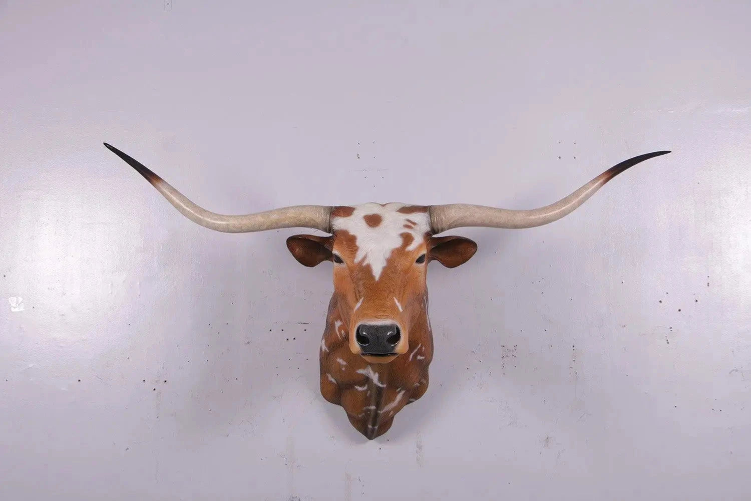Texas Long Horn Head Life Size Statue A0542-160122-H