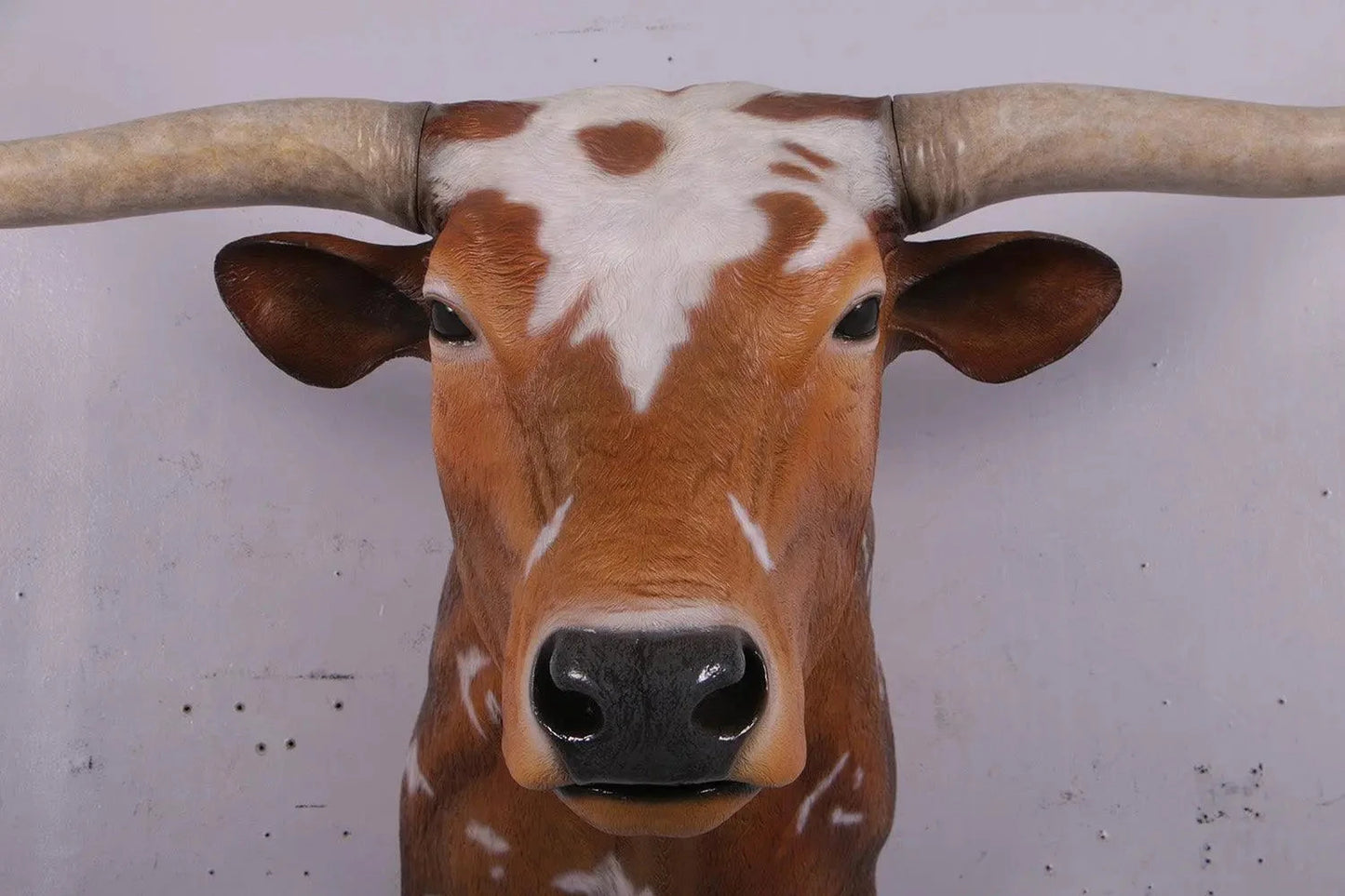 Texas Long Horn Head Life Size Statue A0542-160122-H
