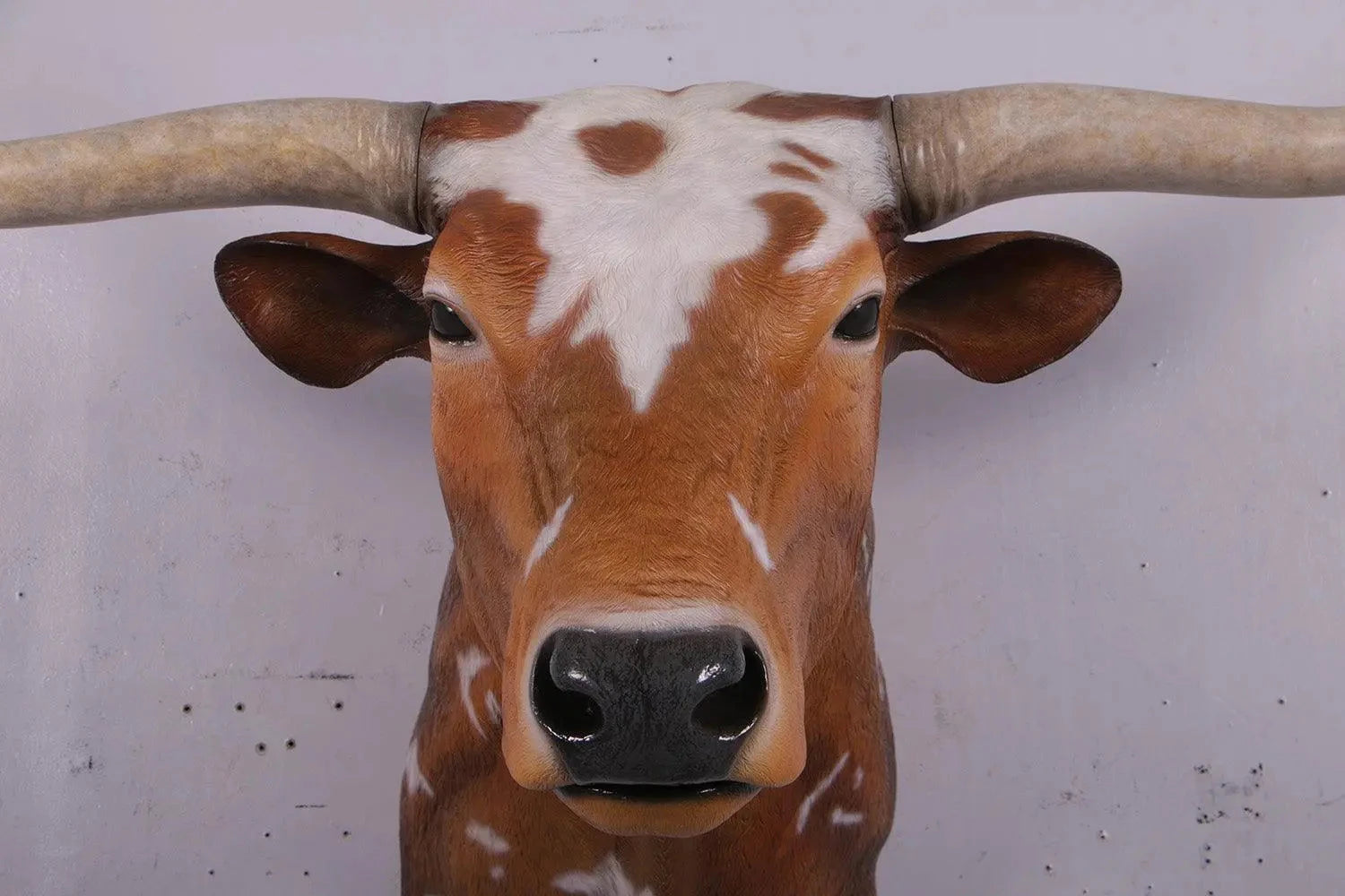 Texas Long Horn Head Life Size Statue A0542-160122-H