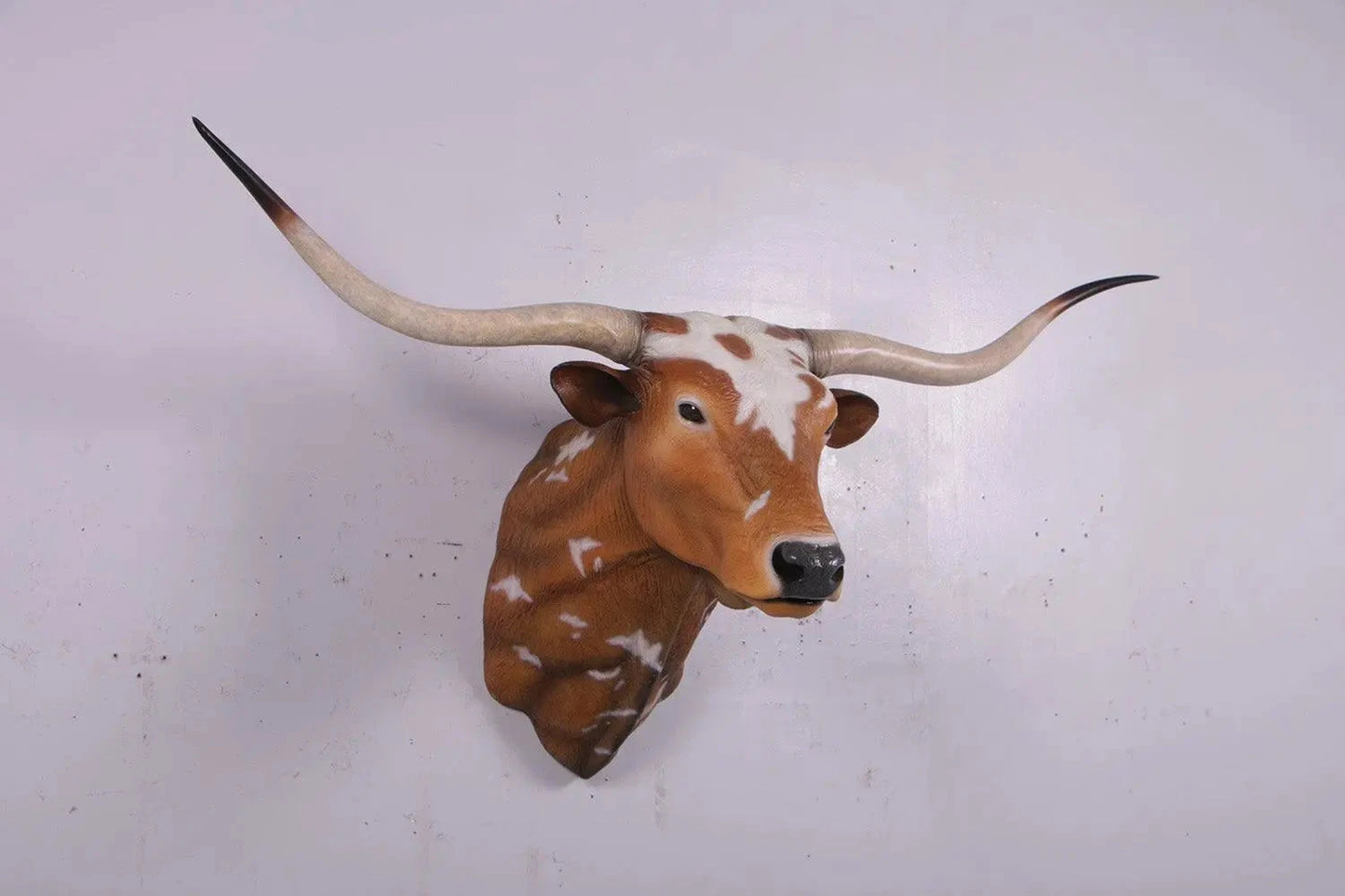 Texas Long Horn Head Life Size Statue A0542-160122-H