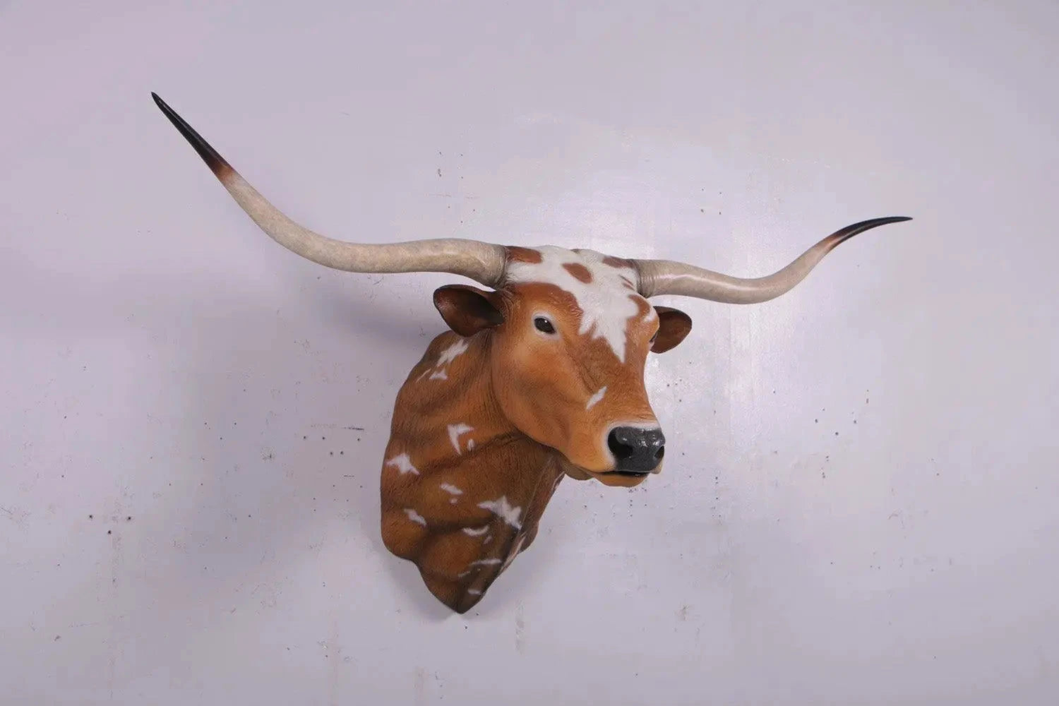 Texas Long Horn Head Life Size Statue A0542-160122-H