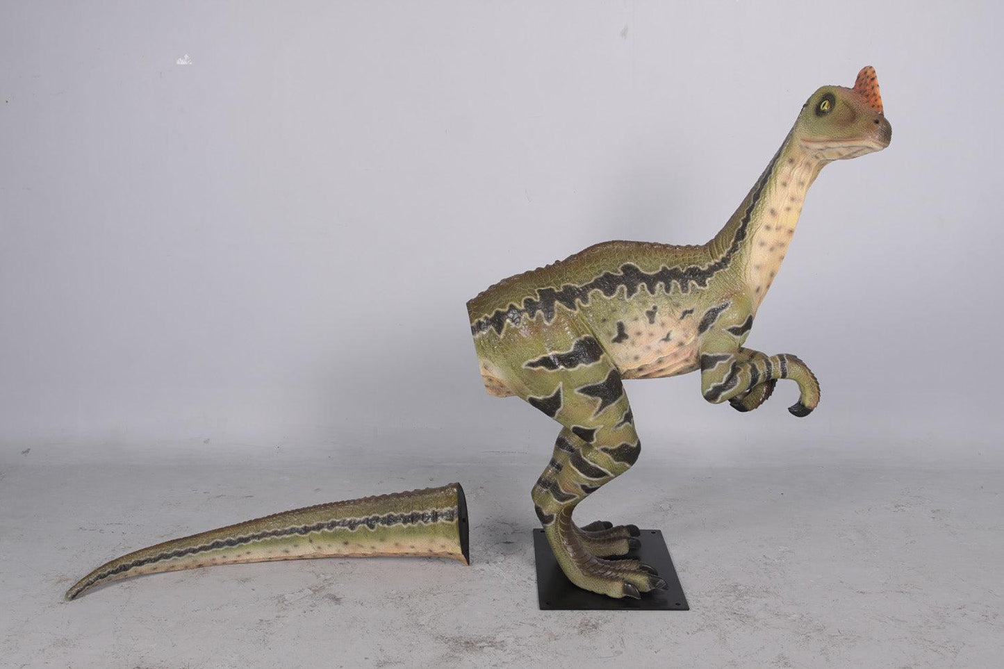 Dilong Paradoxus Dinosaur Statue