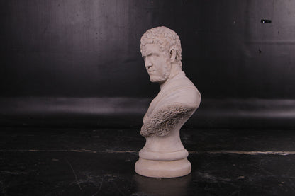 Nero Stone Bust Statue