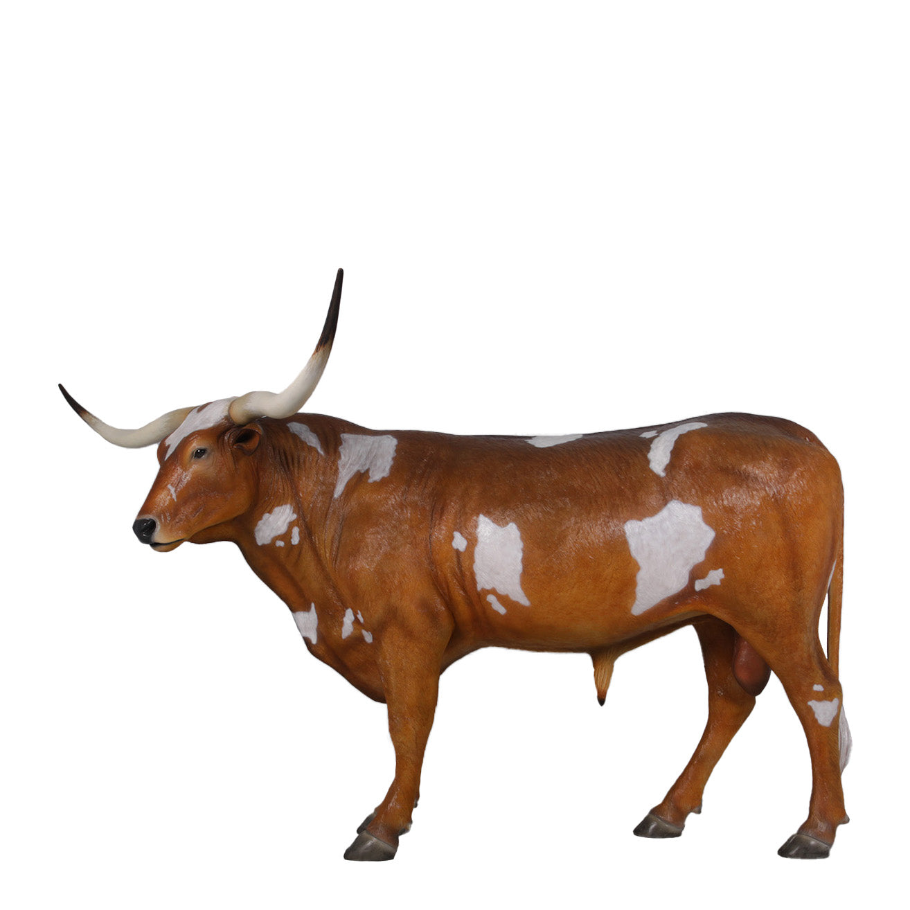 Texas Long Horn Life Size Statue