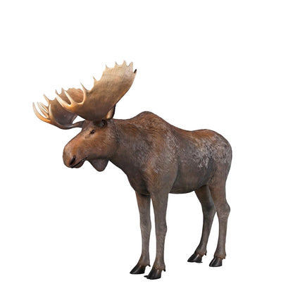 North American Moose Life Size Statue