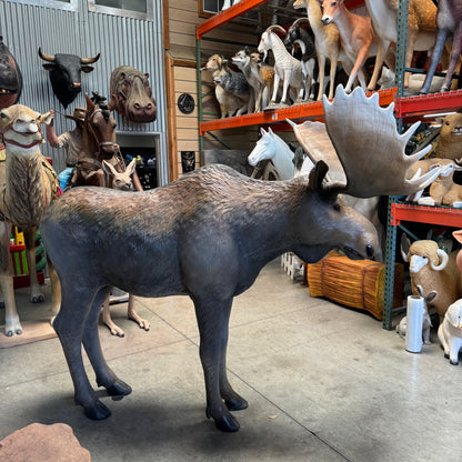 North American Moose Life Size Statue