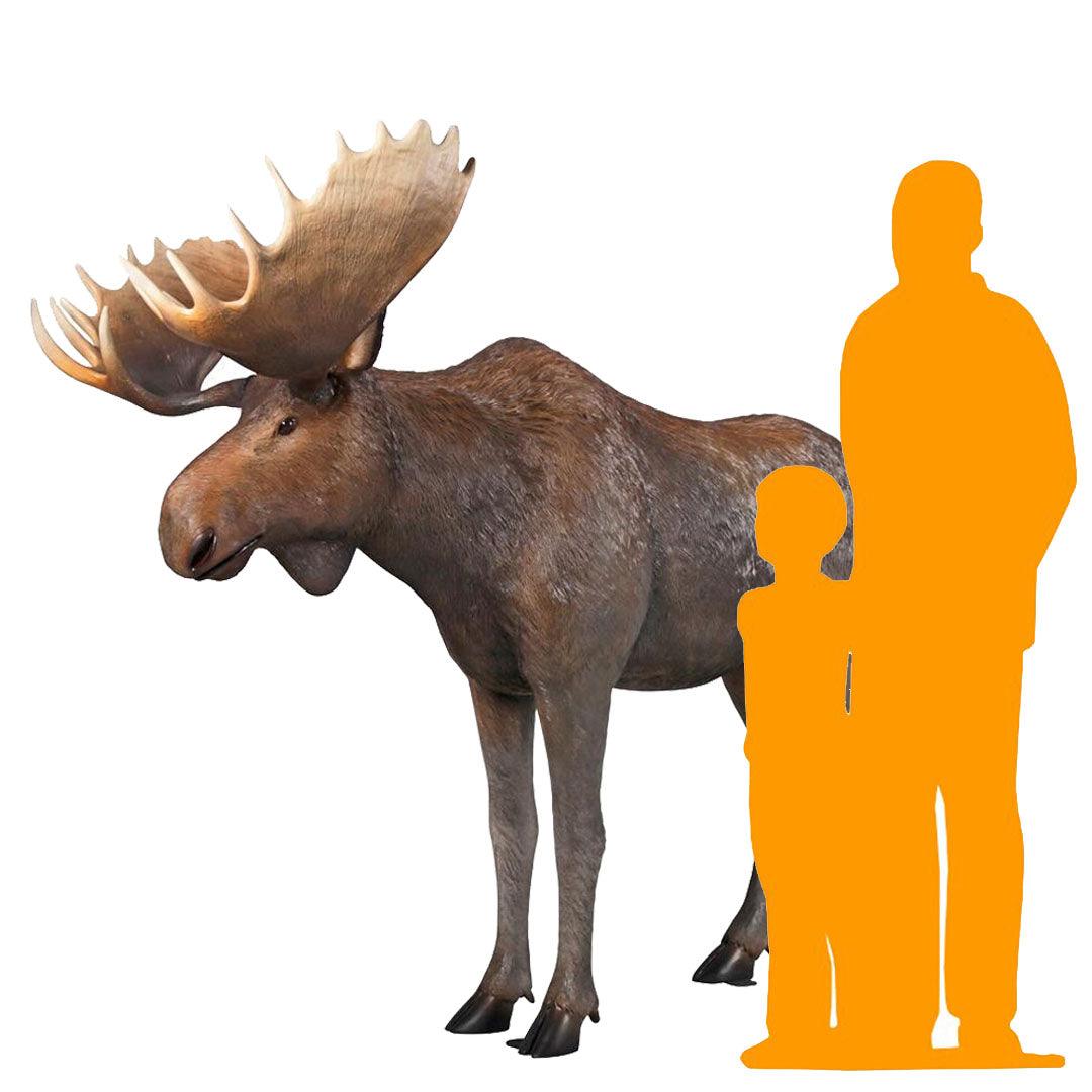 North American Moose Life Size Statue - LM Treasures Prop Rentals 