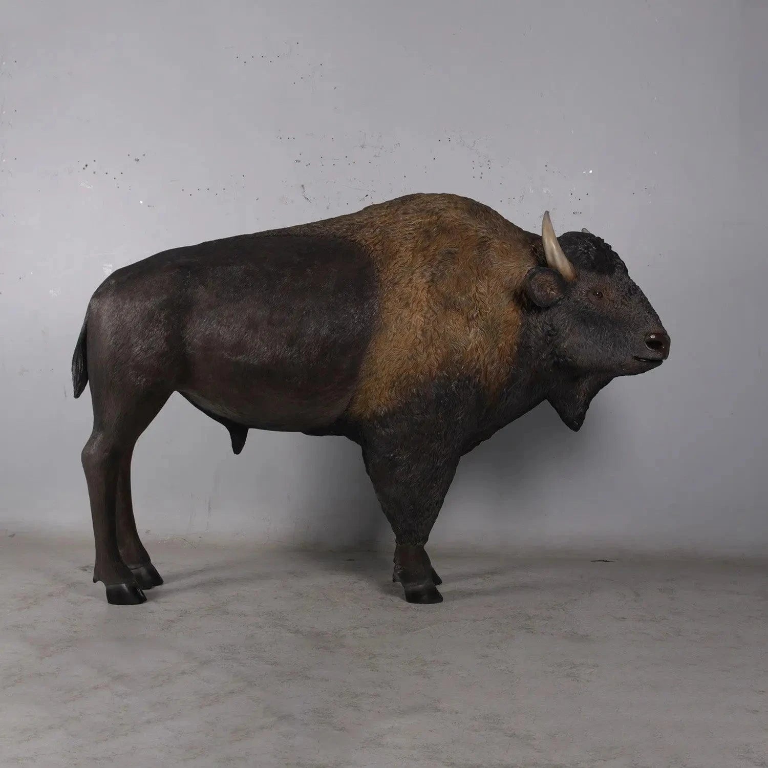 American Bison Prop Decor Statue A0645-170229-H