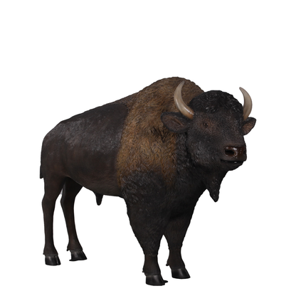 American Bison Prop Decor Statue