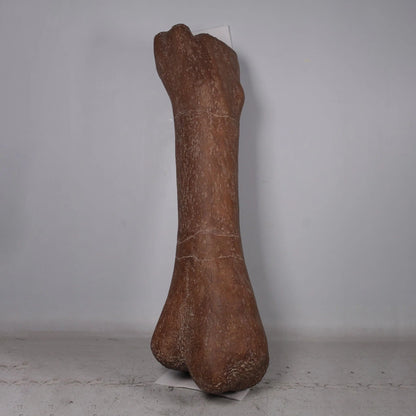 Jumbo Dinosaur Bone Statue