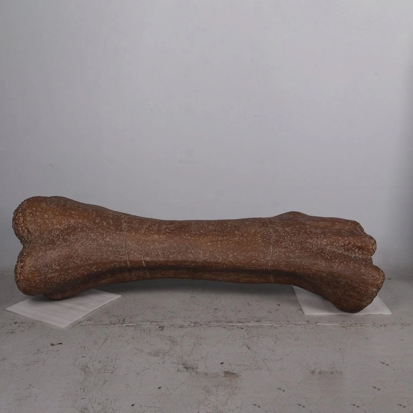 Jumbo Dinosaur Bone Statue