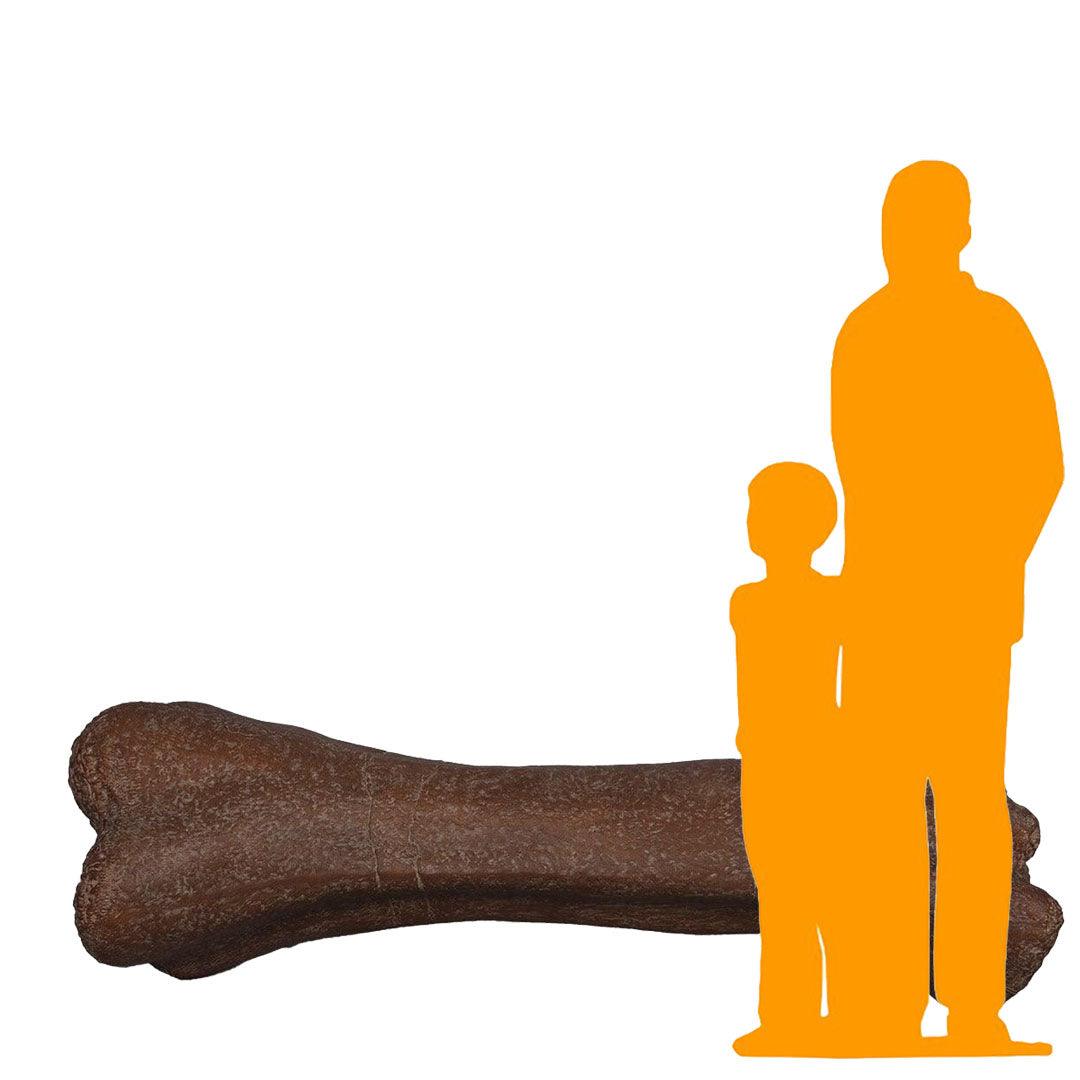 Jumbo Dinosaur Bone Statue