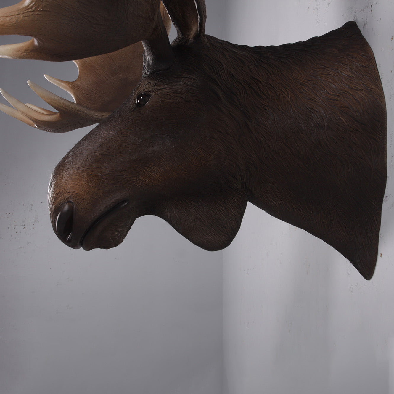 Moose Head Life Size Statue