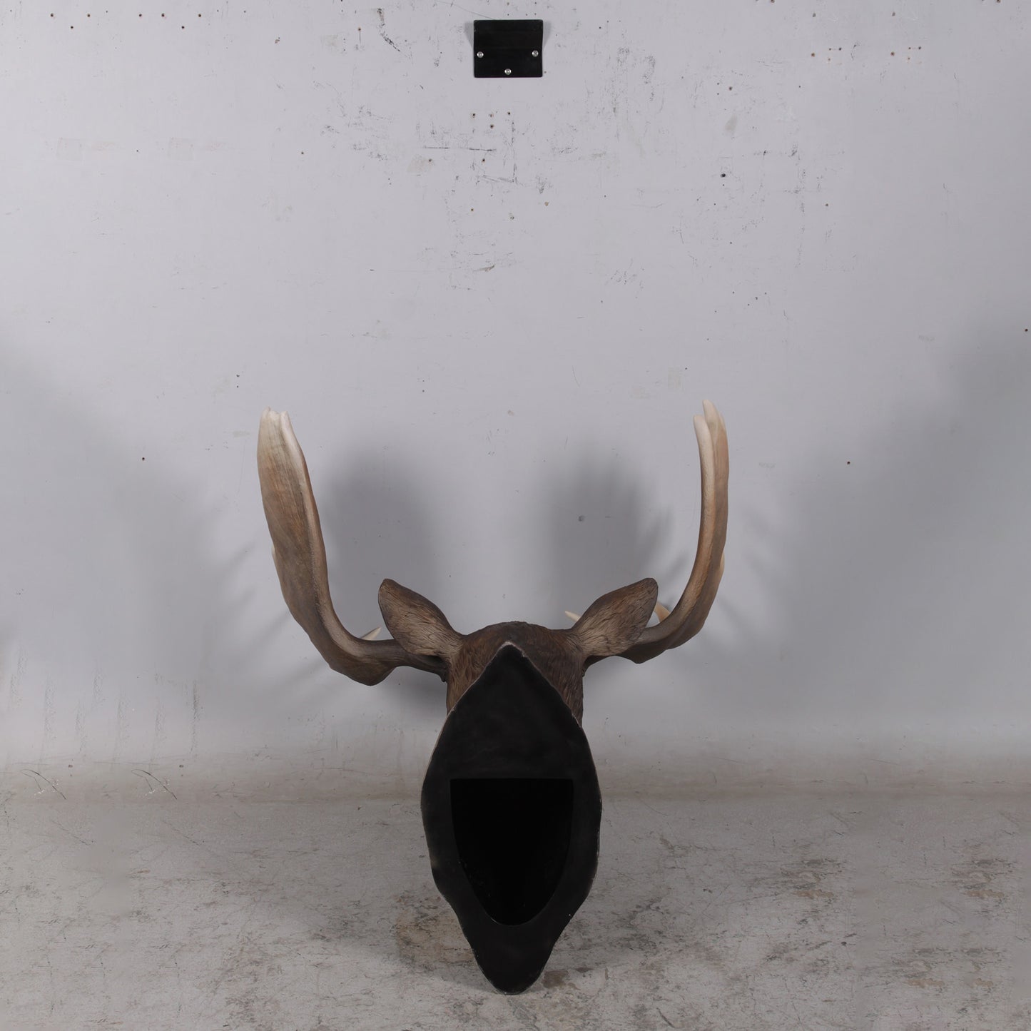 Moose Head Life Size Statue