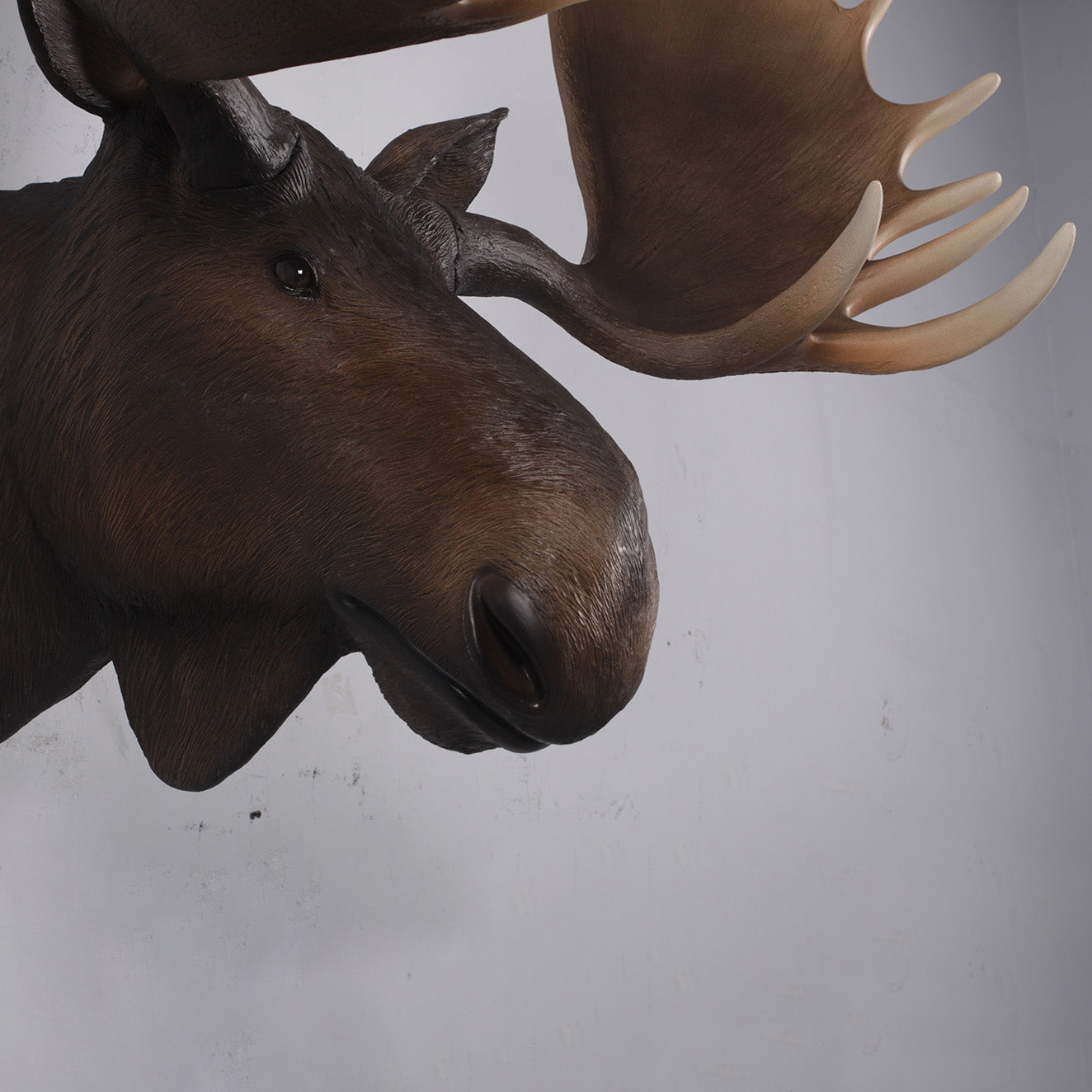 Moose Head Life Size Statue