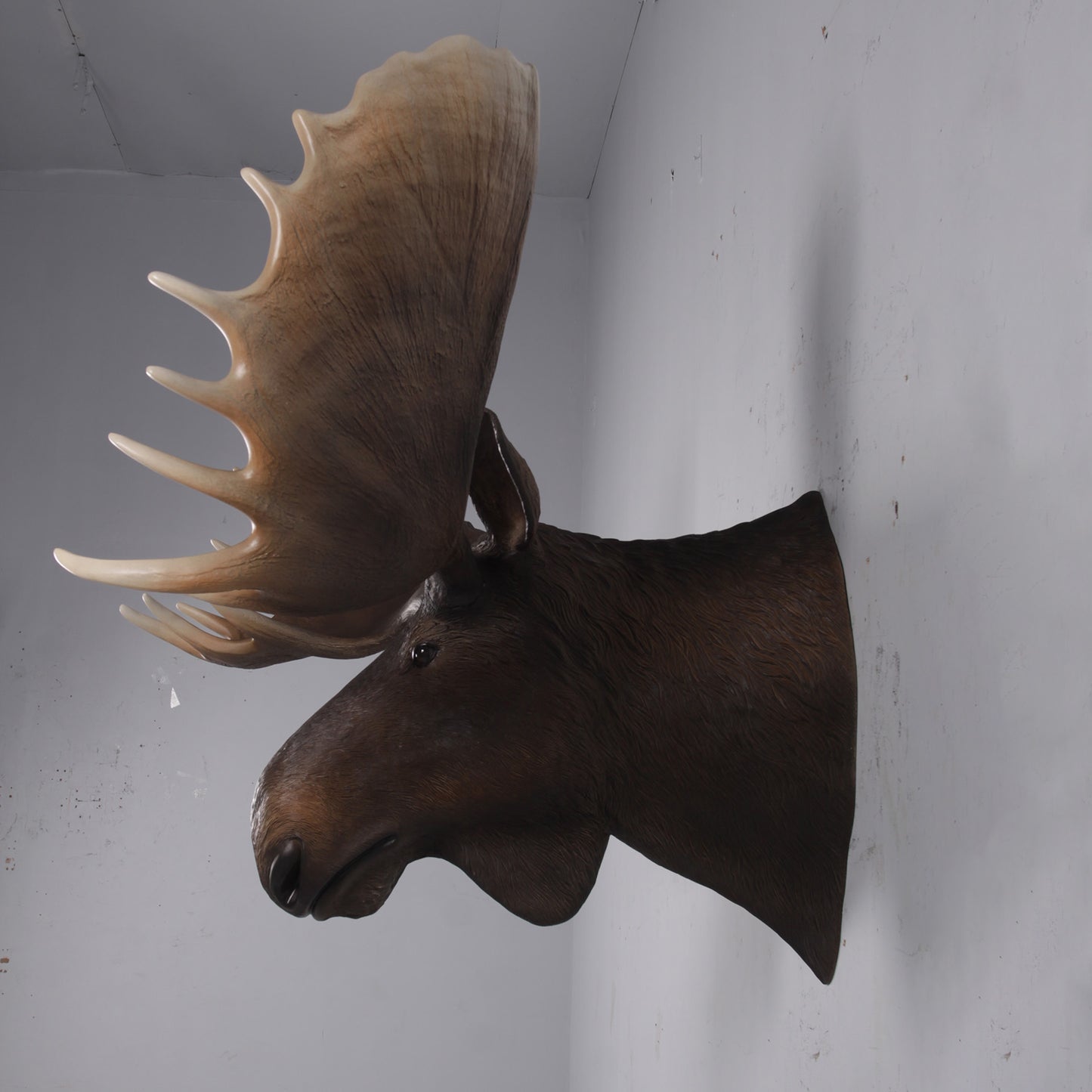 Moose Head Life Size Statue