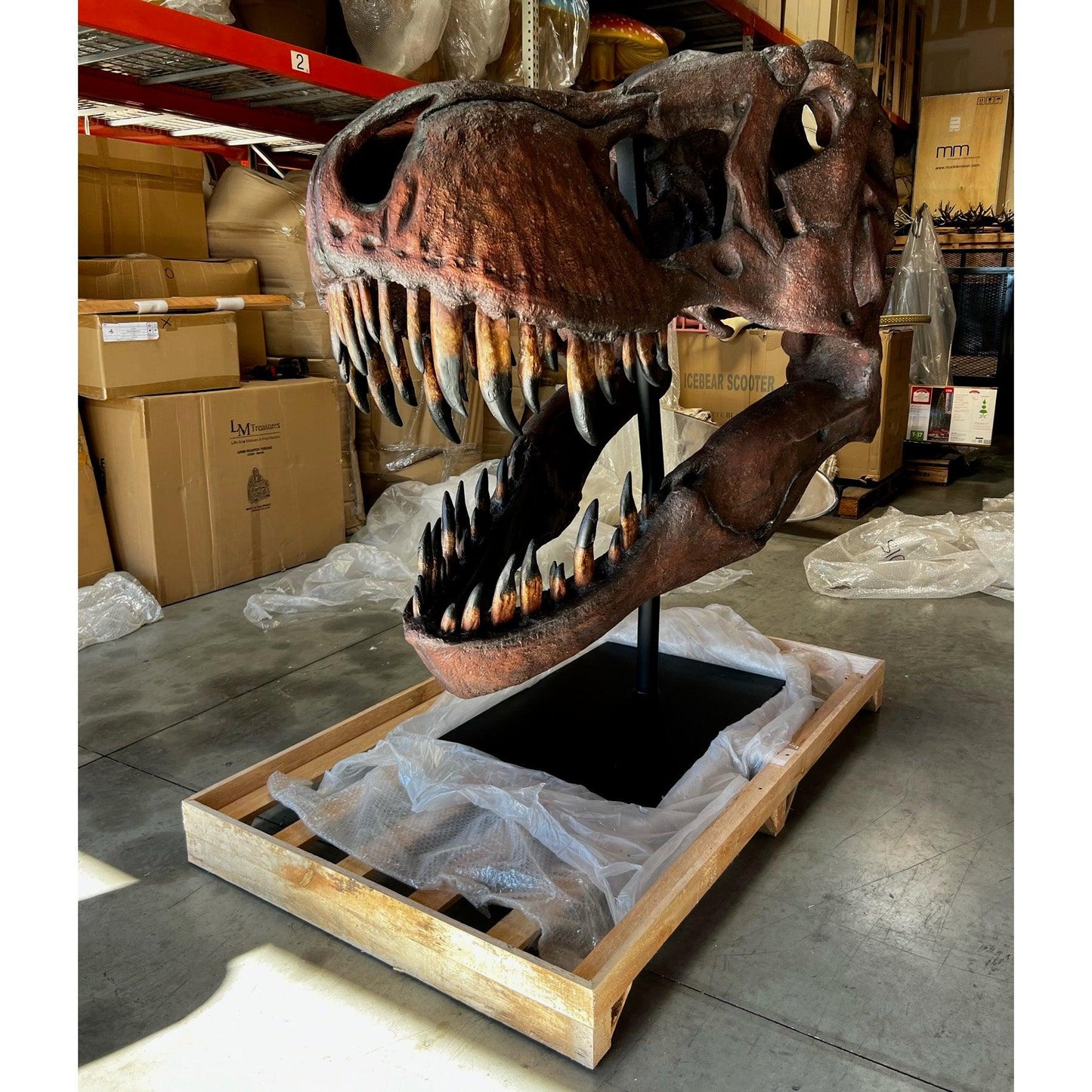 Jumbo T-Rex Skull Statue - LM Treasures Prop Rentals 