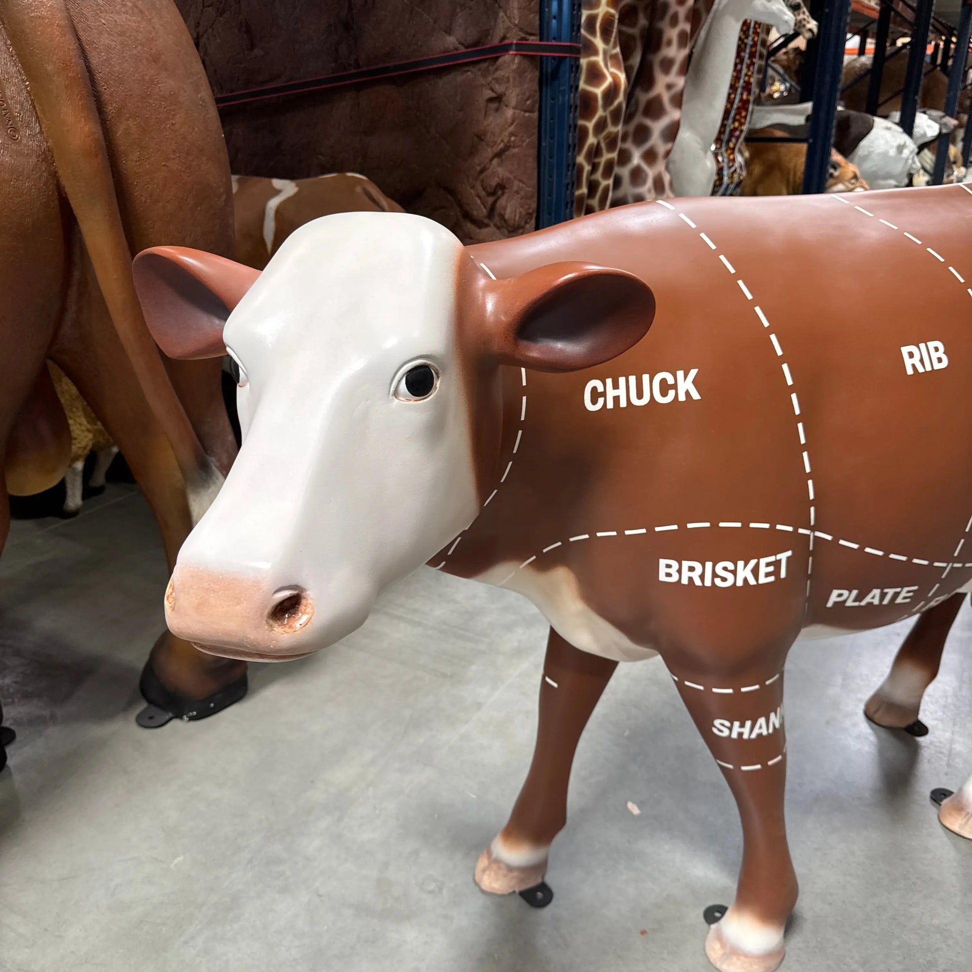 Cow with Beef Cuts Diagram Statue A0760BC-190047-H