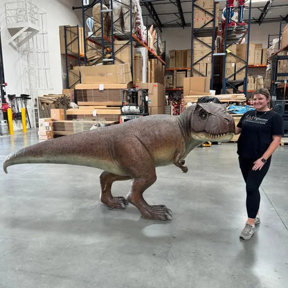 T-Rex Dinosaur Life Size Statue A0773-190136-H