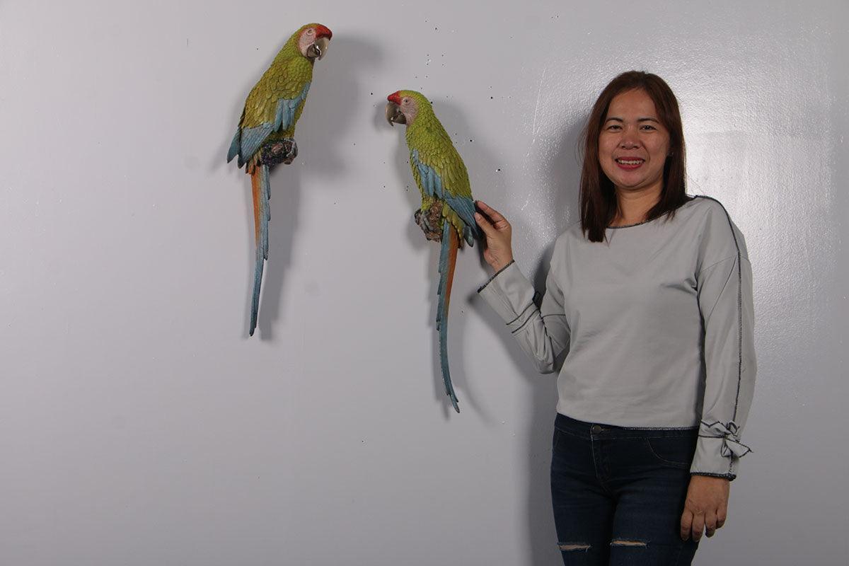 Hanging Macaw Buffon Parrots Statue