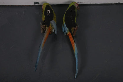 Hanging Macaw Buffon Parrots Statue