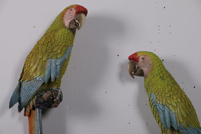 Hanging Macaw Buffon Parrots Statue