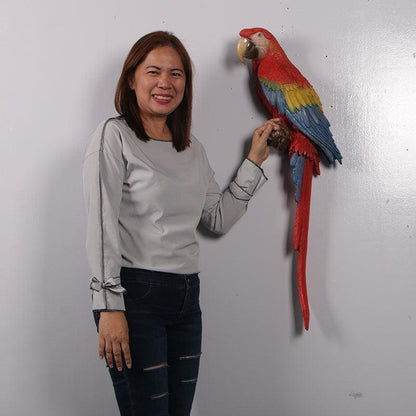 Hanging Scarlett Macaw Parrot Statue