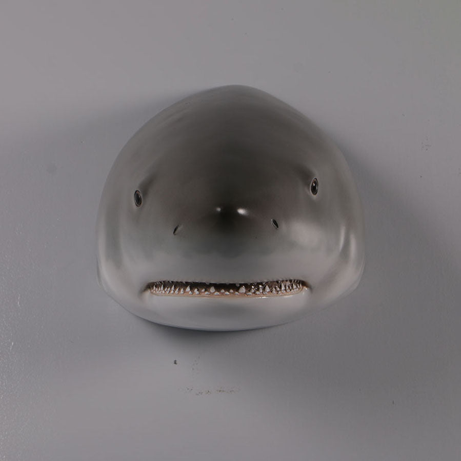 Great White Shark Head Statue