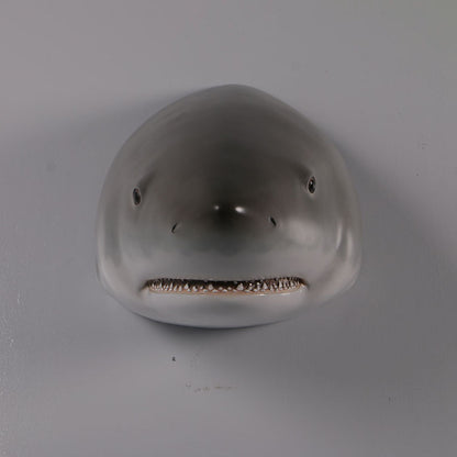 Great White Shark Head Statue